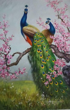  plum Painting - peacocks on plum blossom birds